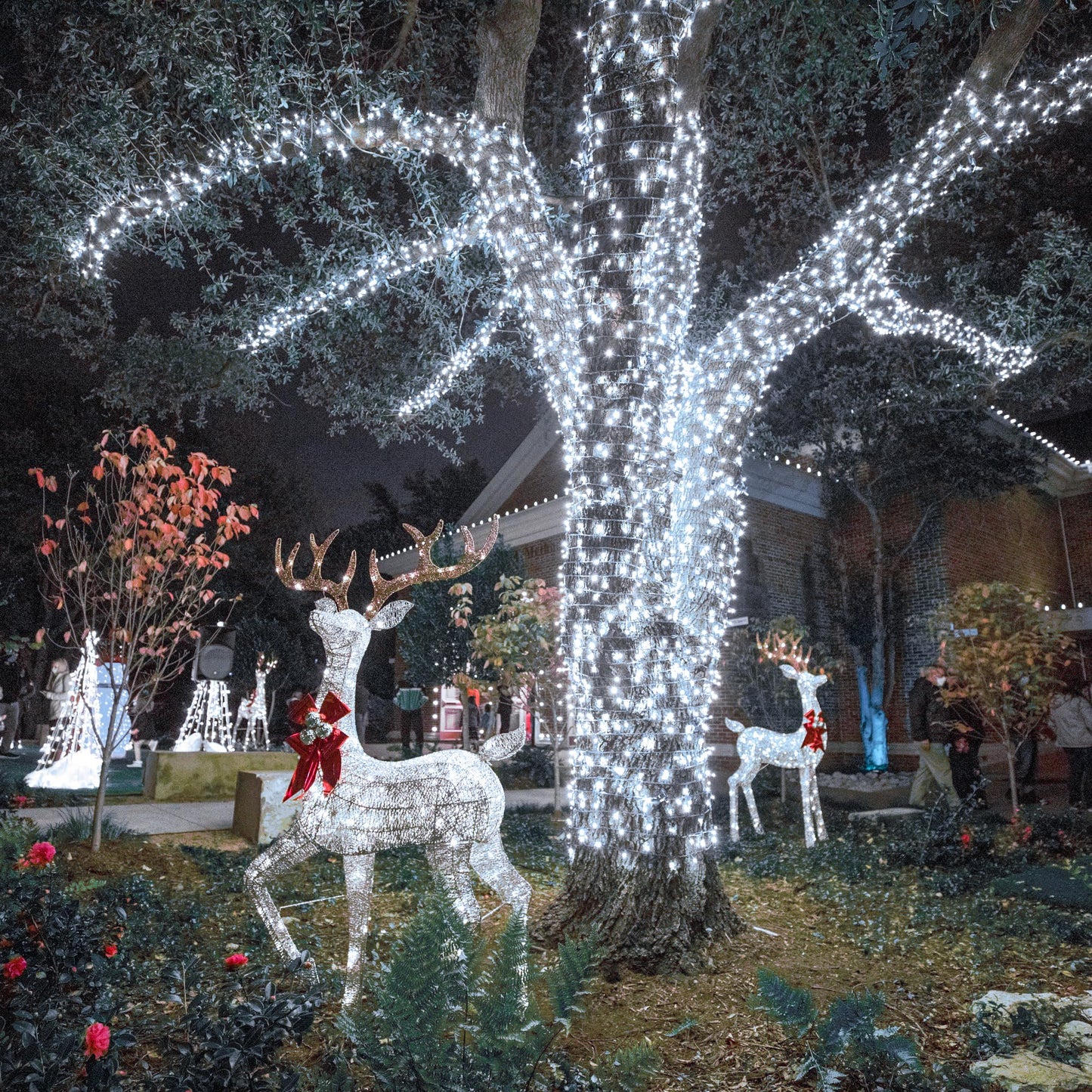 100FT 300 LED Outdoor String Lights, Plug in Connectable Christmas Lights Indoor Waterproof, 8 Modes Clear Wire String Lights for Outside Patio Garden Wedding Party Holiday Decorations, Cool White